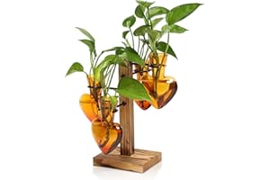 CYZGLASS Plants Propagation Stations Plant Terrarium Kit Glass Planters for Indoor Plants House Plant Accessories Gift for Women - 4 Love Bulb Vase
