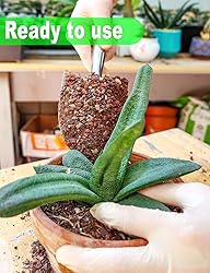 TOYPOPOR Succulent Soil, Cactus Potting Mix 6