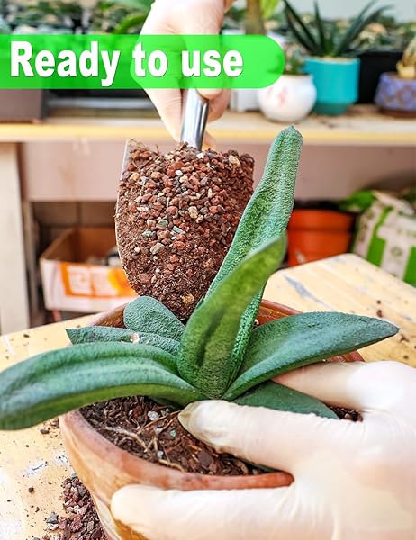 TOYPOPOR SUCCULENT SOIL, CACTUS POTTING MIX 6 POUNDS/3QTS, HIGH DRAINAGE, PRE-MIXED READY TO USE FOR ALL SUCCULENT VARIETIES, INDOOR PLANTS, BONSAI, TERRARIUM, HOUSEPLANT, 70% PARTICLES 30% SOIL