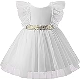 Bow Dream Baby Flower Girl Dress Tulle Wedding Toddler Party Formal Blush Pink Tutu Princess Infant Birthday Party Clothes