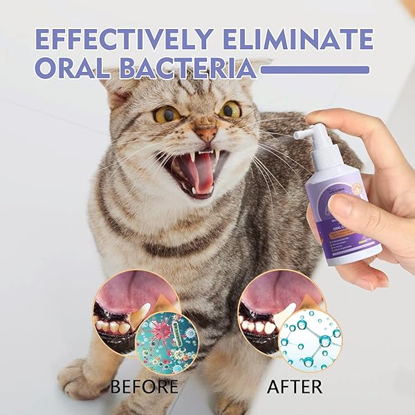COLORCASA 2 PCS PET ORAL CARE SPRAY,2023 NEW PET CLEAN TEETH SPRAY,PET CLEAN TEETH CLEANING SPRAY FOR DOGS & CATS,PET ORAL SPRAY CLEAN TEETH,PETCLEAN NO BRUSHING PET ORAL CARE SPRAY