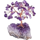 mookaitedecor Amethyst Crystal Tree with Amethyst Cluster Crystals Base Bonsai Money Tree for Wealth and Luck