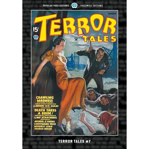 Amazon.com: Terror Tales #6: Facsimile Edition: 9781618277817