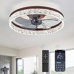 LEDIARY 20" Modern Ceiling Fans with Lights and