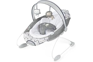 Ingenuity SmartBounce Automatic Bouncer - Braden