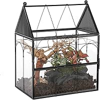 NCYP Glass Enclosure with Vent Holes for Insect, Spiders, Snails - 19 x 12.5 x 23 cm Small Closed Front Opening Door Succulen