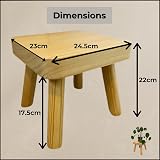 Evanmore Wooden Plant Stand Stool Display Table Small Indoor Use view 2