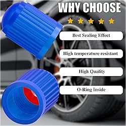 MEAJOO 30PCS Tire Valve Stem Caps, Corrosion