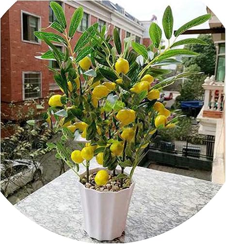Amazon ホームインテリア フルーツ オレンジ 桜の木 盆栽 シミュレーション装飾 人工花 フェイクグリーンポット植物 オーナメント Lemon イエロー Sb 122 造花 オンライン通販
