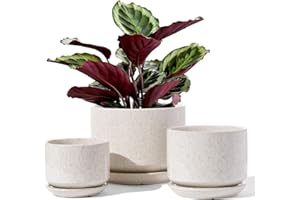 LE TAUCI Ceramic Plant Pots, Set of 3, 4.3+5.3+6.8 inch Plant Pots Indoor, Planters Pots with Drainage Hole & Saucer, Indoor 