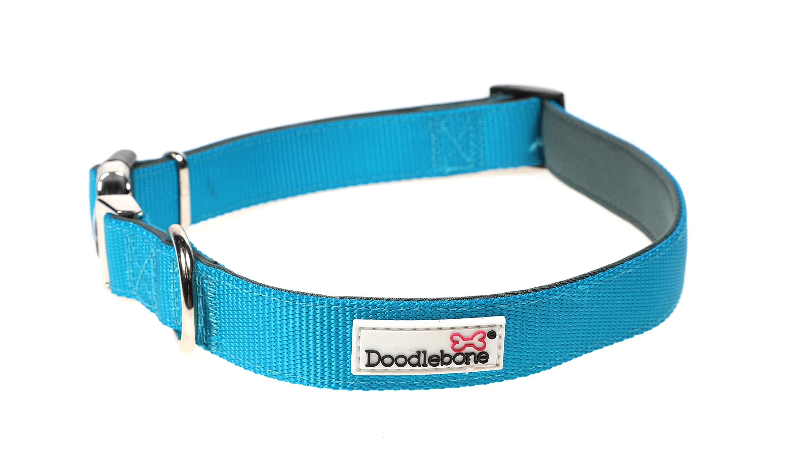 Doodlebone – Padded Dog Collar – Adjustable Breathable Comfort Collar with Reflective Stitching, Strong D Ring & Durable Metal Buckle for Daily Walks – Size 1-2 22–30cm - Aqua