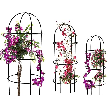 Kraft Seeds Presents Premium Collection Trellis Pack of 3 to Support Climbing Plants for Home and Garden Use, (Model: KSMP1193), Multicolour