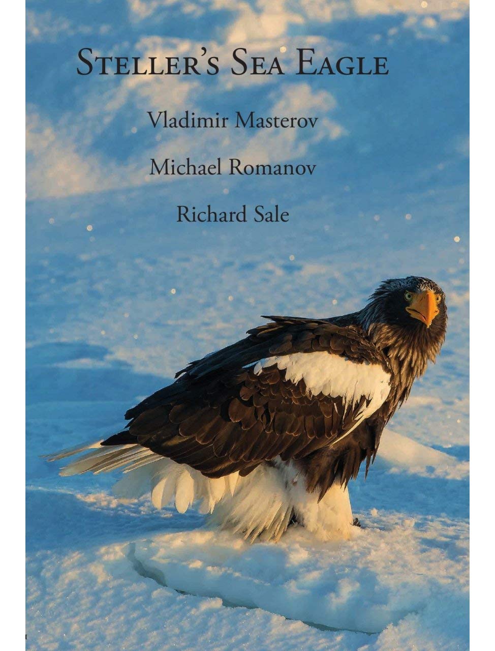 Steller S Sea Eagle Richard Sale Vladimir Borisovich Masterov Michael S Romanov 9780957173231 Amazon Com Books