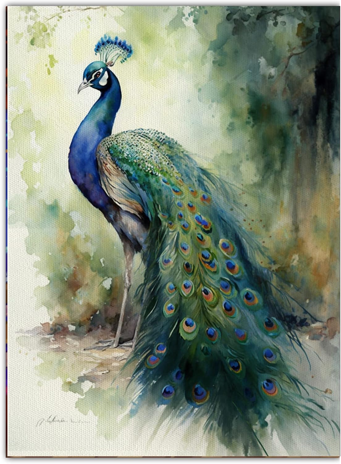 Paintings - Animal Wall Art Canvas Modern Art Paintings Peacock Artwork Decor Wall Pictures Nature Animal Wall Art Painting Office Decor Room Home Decoration 16x20 Inch Frameless