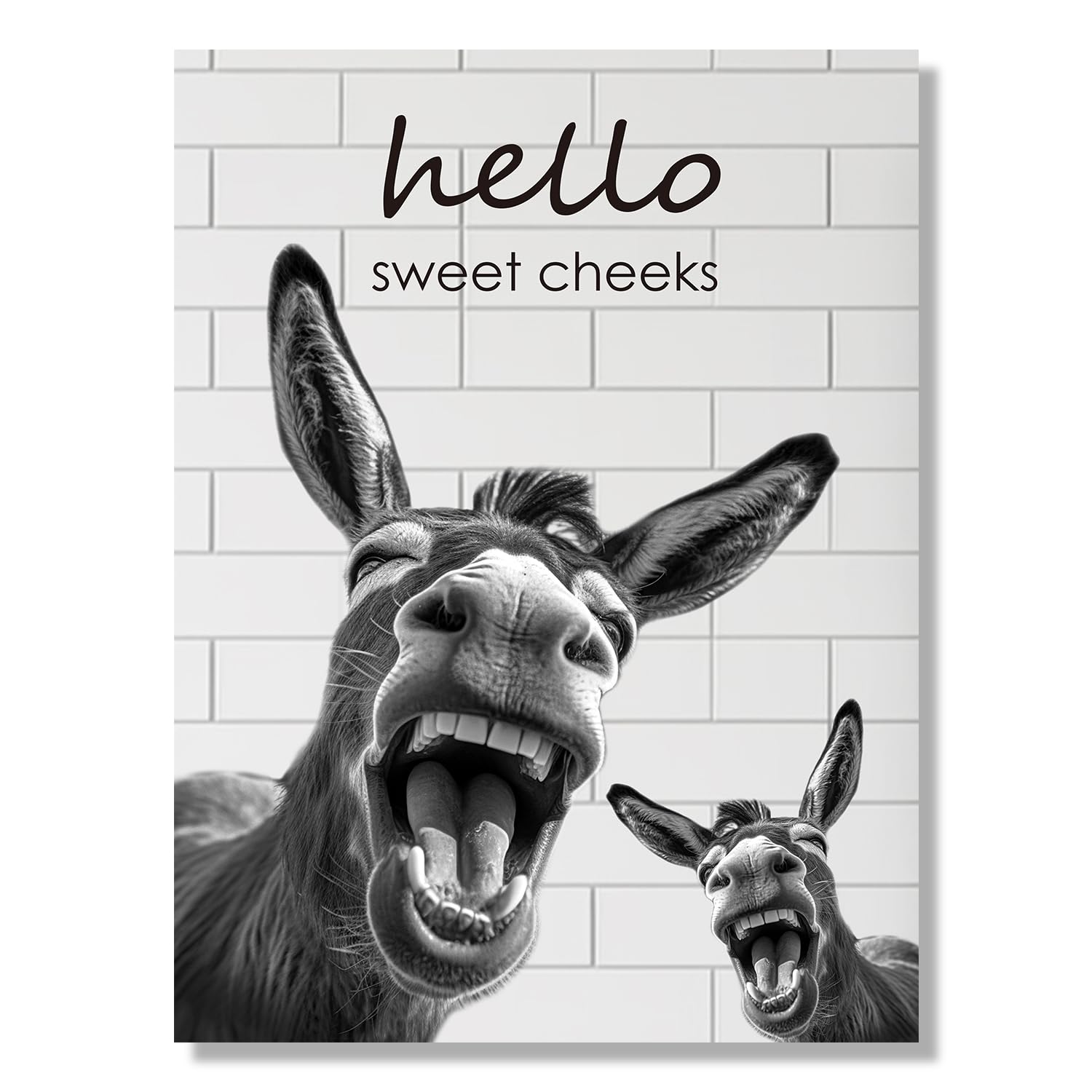 Dazzlewall Funny Donkey Wall Decor Poster Black and White Donkey Wall Poster for Bathroom Living Room Decor 12x16 in Unframed