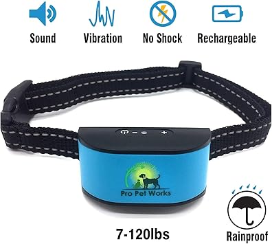 goldendoodle irish setter