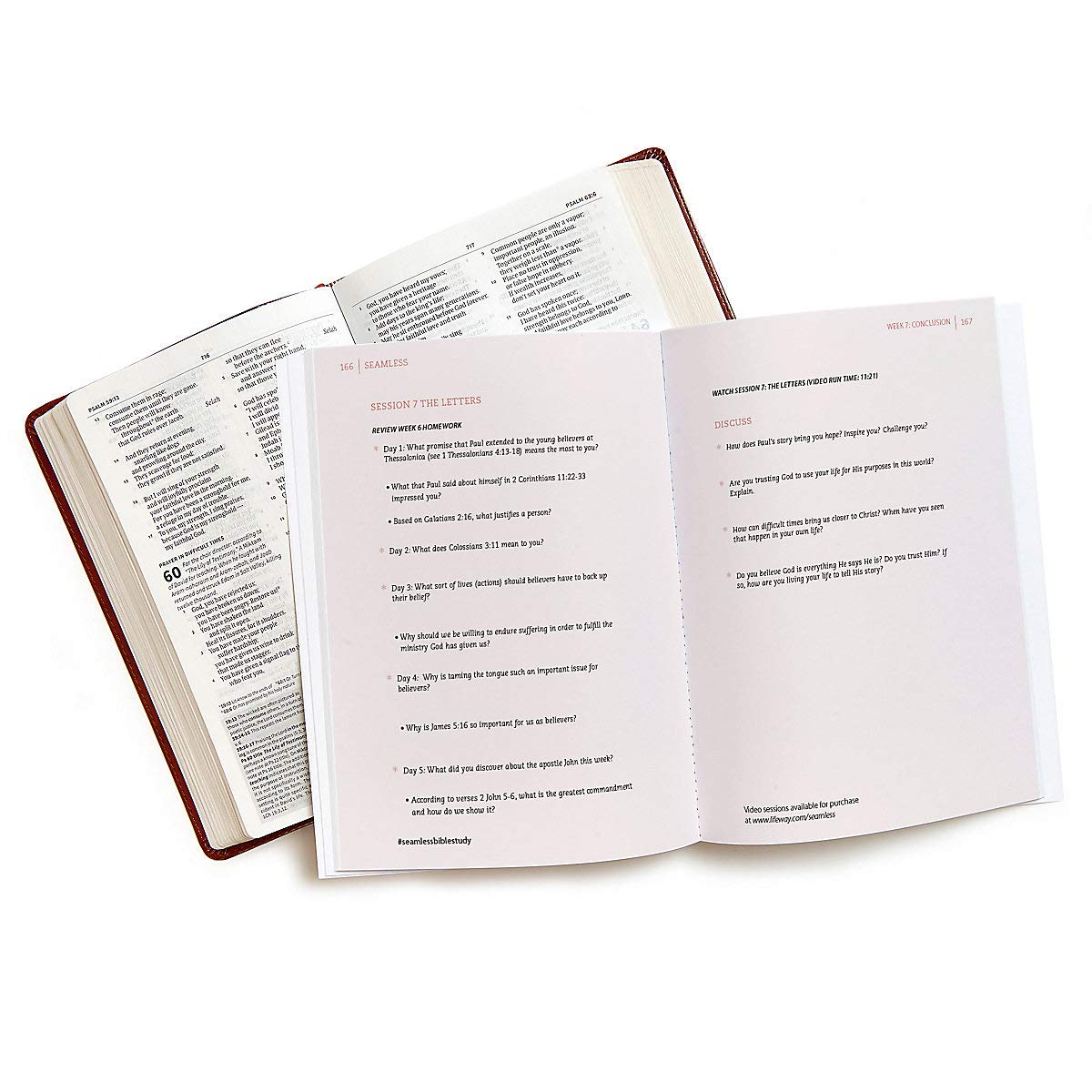Seamless: Understanding the Bible as One Complete Story (Member Book)