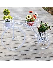 Soportes para plantas | Amazon.es | 2018