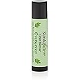 StinkBalm Odor Blocker Evergreen Scent