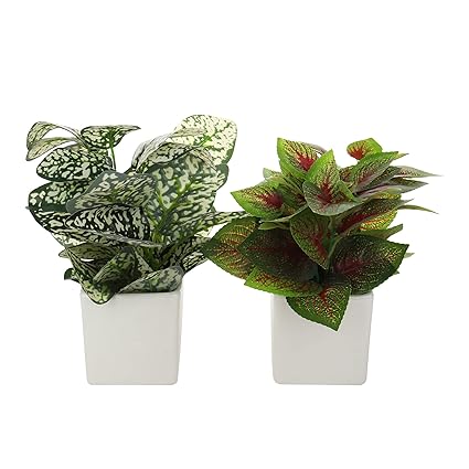 SHANAYRA Handmade White Square Shape Ceramic Planter/Planting Pot