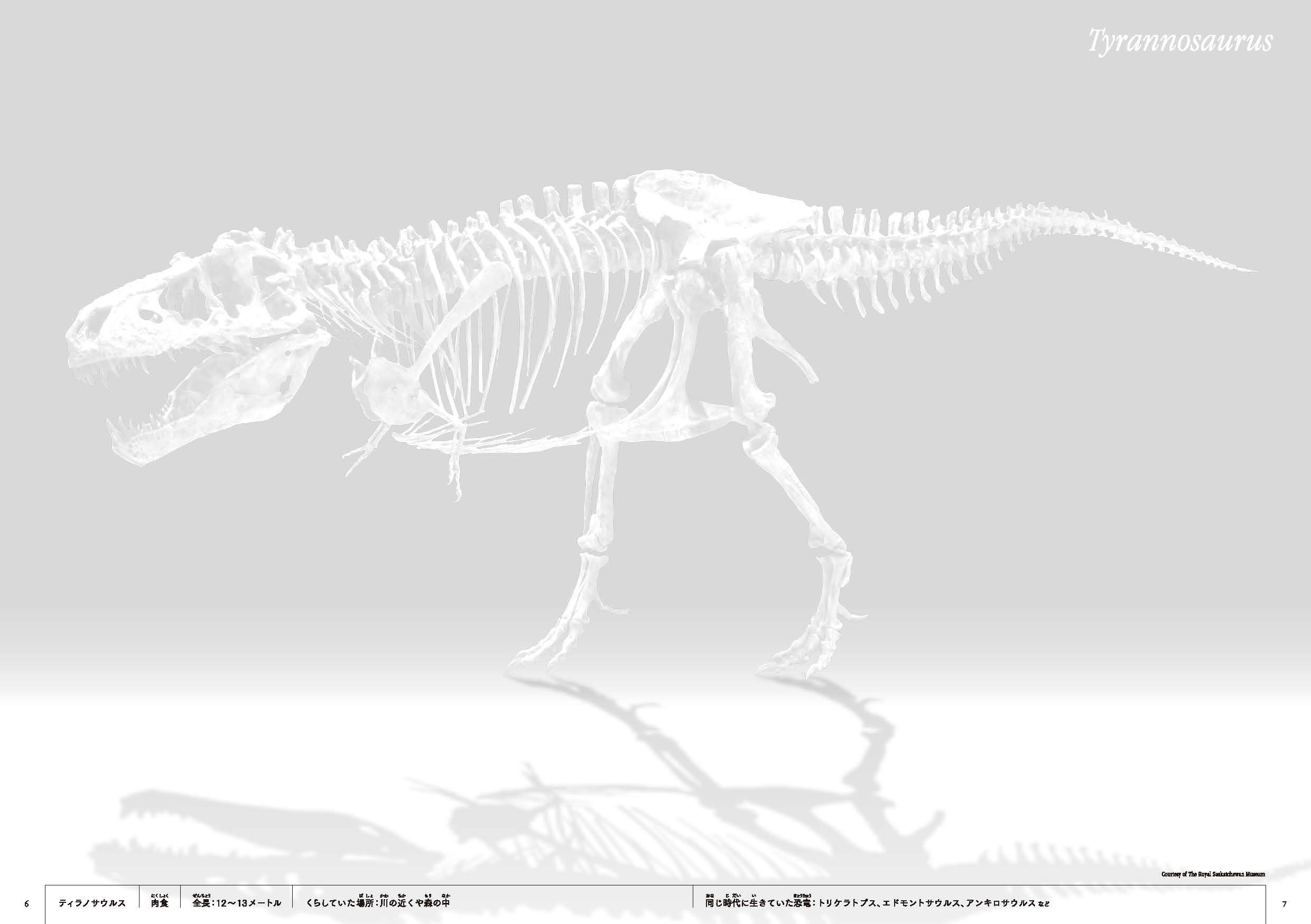 恐竜 骨ぬりえ 岡田 善敬 小林 快次 本 通販 Amazon