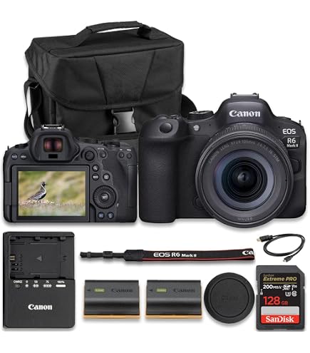 Amazon.com : Canon EOS R6 Mark II Mirrorless Camera with 24-105mm