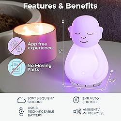 Mindsight 'Breathing Buddha' Guided Visual