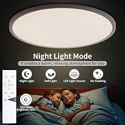 KIWIVIC 24 Inch Flush Mount Ceiling Light with