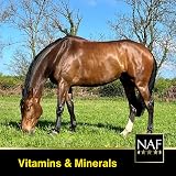 NAF Vitamin E and Selenium 1kg Horse Supplement – Antioxidant Support view 4
