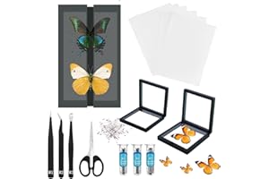 DDDZERONG Butterfly Specimen Making Tools Kit, Includes Needles, Display Boards, 100 Insect pins, 2 Hanging Boxes, 3 Forceps, and for Preserving It is an Ideal Choice for Collectors and Educators. (Black)