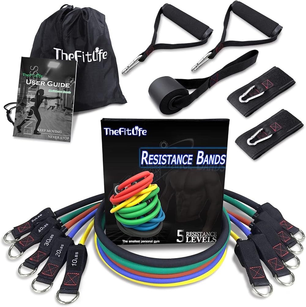 TheFitLife Resistance Bands Set with Handles Door Anchor Ankle Straps Carry Bag