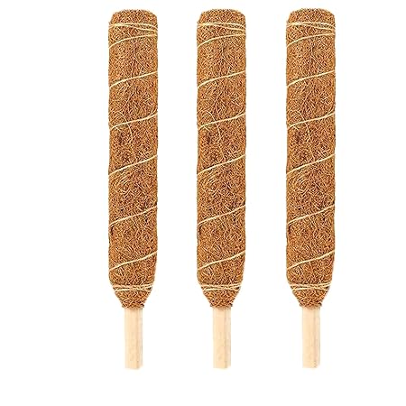 LIVEONCE Coco Pole -Moss and Coir Stick for Indoor, House and Plant Creepers Support 3 FEET -Pack of 3 -Color -Natural