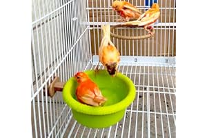 DREDQCCO Bird Bath for Cage-4.7" Multi-Function Universal Style Small Tub Bowl for Hang Inside Cage Birdbath Shower for Parrot/Parakeets/Cockatiels/Canary/Budgerigar(Green)