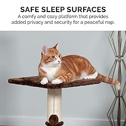 Furhaven 22.5" Tall Cat Tree for Indoor