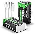 Rechargeable 9V Batteries, 1300mAh 9 Volt Lithium Batteries USB-C Charge with 2 in 1 Charging Cable for Microphone, Smoke Detector, Electronic Toys, LED Lighting Devices, walkie-Talkie etc (2 Pack)