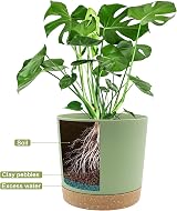 QCQHDU 25.4cm Plant Pot 2 Pack with Drainage Holes and Saucer Green 25.4cm view 4