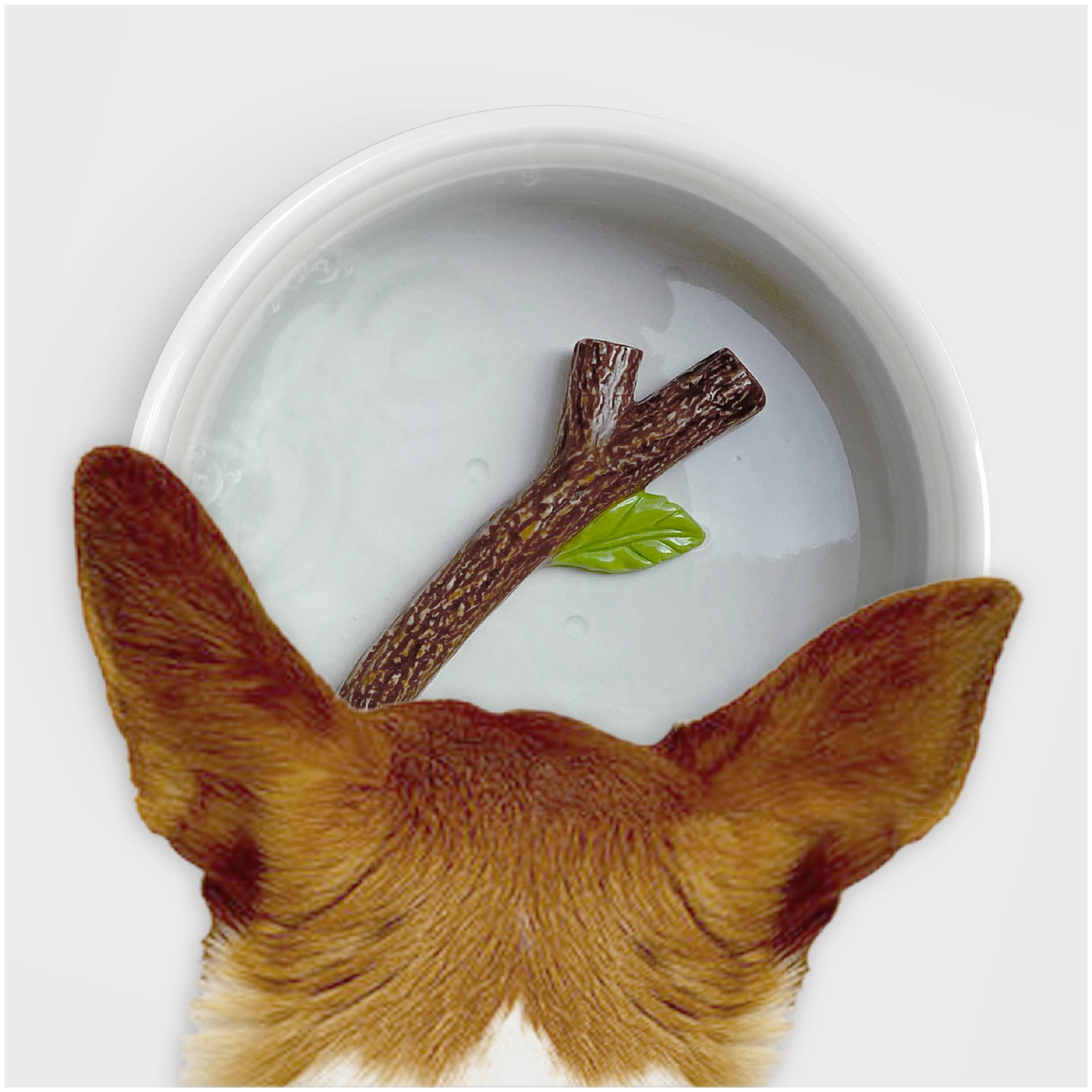 Suck UK | Ceramic Dog Bowl | Dog Water Bowl With 3D Stick | Feeding & Watering Supplies For Dogs | Dogs Bowls For Adult Puppy & Puppies | Novelty Accessories & Puppy Accessories | Gifts
