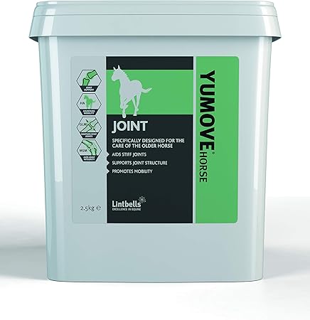 royal canin digestive care