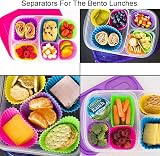 NIWWIN Cupcake Molds 24-Pack Reusable Silicone Mini Muffin Molds FDA view 6