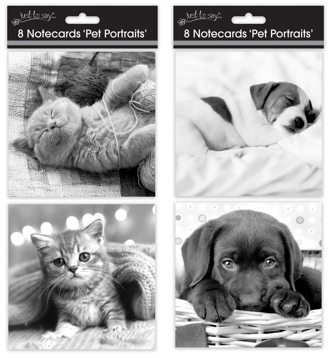 Tallon Just to Say Large Square Note Cat/Dog Card (Box of 8)