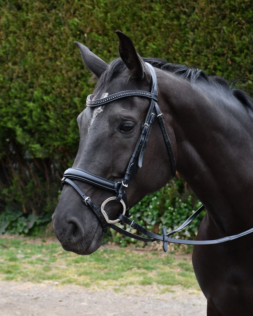 Rhinegold Italia Anatomical Flash Bridle - Pony - Havana