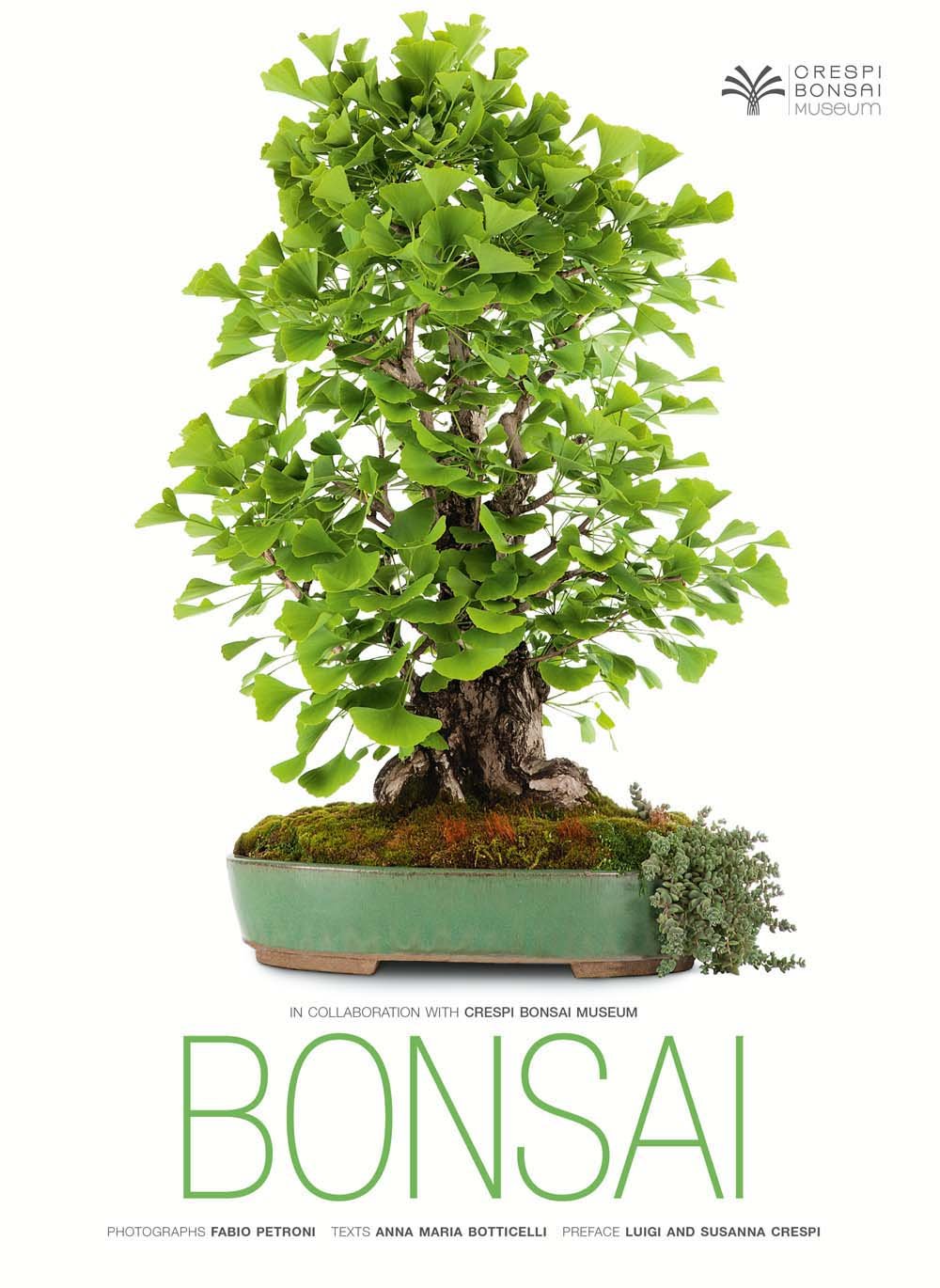Buy Bonsai Book Online at Low Prices in India | Bonsai Reviews & Ratings -  Amazon.in