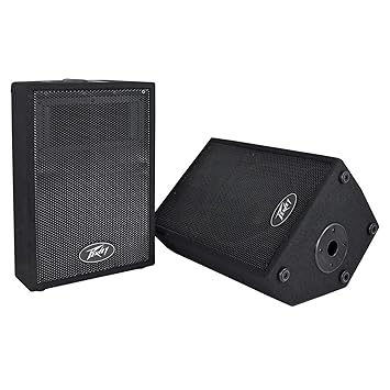 peavey 10 inch replacement speakers