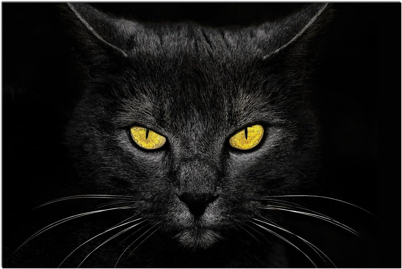 furreal friends black cat