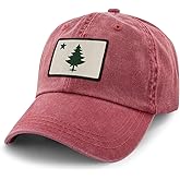 Vintage Maine Flag Washed Dad Hat