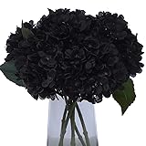 Kimura's Cabin 6pcs Black Flowers Vintage