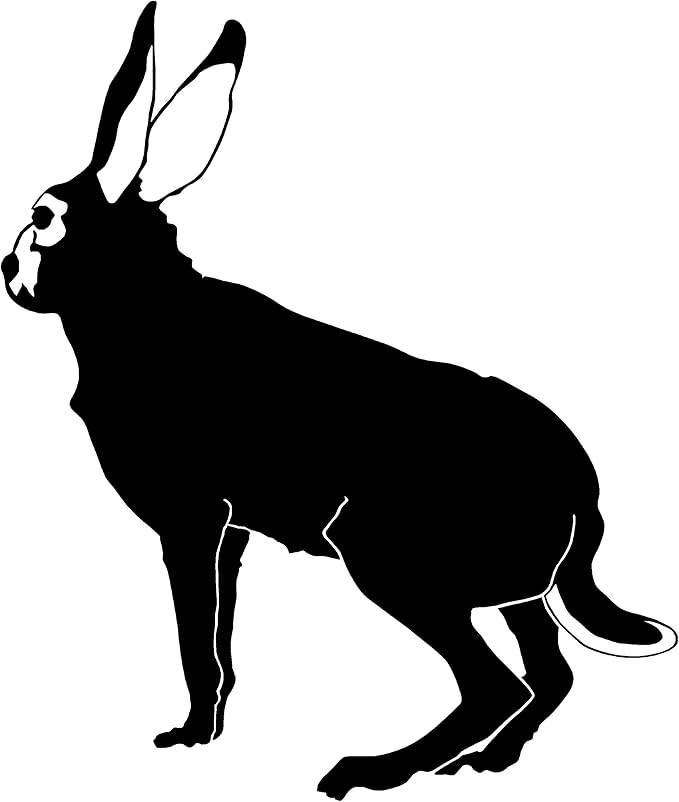 Amazon.com: Rabbit Decal Rabbit Hunting Decal Rabbit Decals for Shirt ...