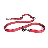 EzyDog Vario 6 Multi-Function Dog Leash with Snap