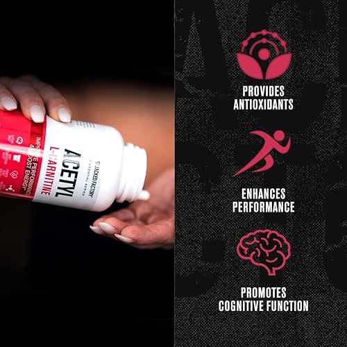 bcaa or l carnitine Forzagen Cla + L carnitine + Bcaa Powder - Bcaas Amino Acids with Cla  Powder Increase Energy Free Caffeine | Morning Recovery | 60 Servings  (BlackBerry Lemonade): Buy Online at Best Price in UAE