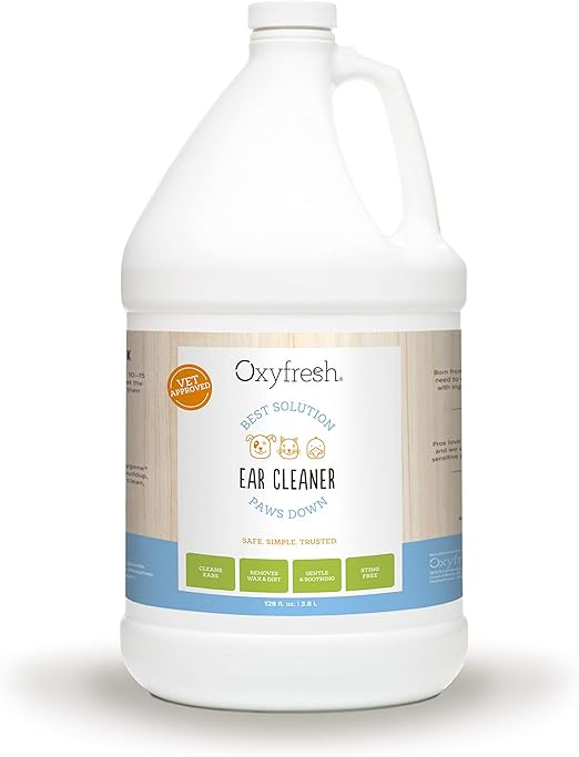 non stinky stuff for dogs amazon